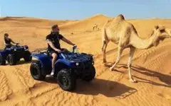 Best Desert Safari With Quad Biking Tour - 2
