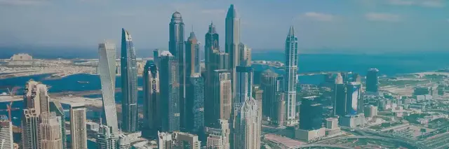 What are the Types of Companies in Dubai? - 1