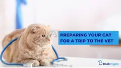 Professional Pet Grooming Abu Dhabi Service At Book my pet.