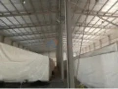 50,000 SqFt Warehouse With Shed And Office For Rent In Jebal Ali with High Electrical load 1000 KW - 3