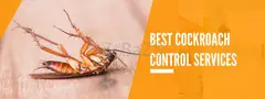 # Pest Control Services – Only 99AED - 1