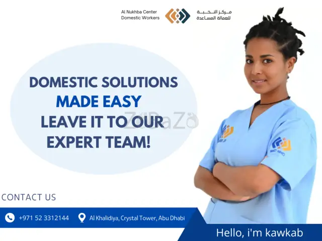 Domestic Solutions Made Easy - Leave it to Our Expert Team - 1