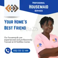 Professional Housemaid Services: Your Home's Best Friend - 1