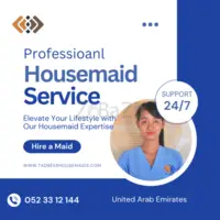 Professional Housemaid Service - 1