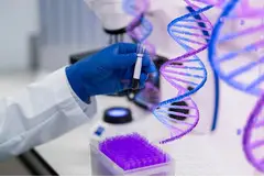 IVF and Genetic Testing in Abu Dhabi - 1