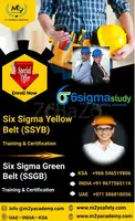 Best Six Sigma Green Belt courses