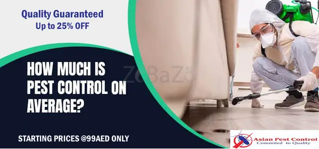 # No.1 Pest Control – Discount Up to 25% - 1