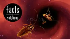 # Pest Control Agreement – Get Upto 25% Off - 2
