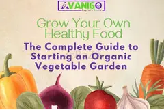 Grow Your Own Healthy Food: The Complete Guide to Starting an Organic Vegetable Garden - 1