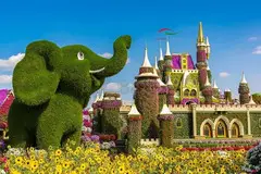 MIRACLE GARDEN DUBAI BY AMERSON TRAVEL AND TOURS - 4