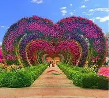 MIRACLE GARDEN DUBAI BY AMERSON TRAVEL AND TOURS