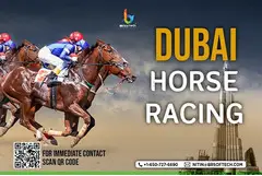Horse Racing Software Provider in Dubai