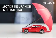 motor insurance-insura.ae - 1