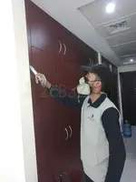 # Best & Perfect Pest Treatment – Killer Prices