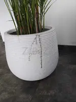 # Best & Perfect Pest Treatment – Killer Prices