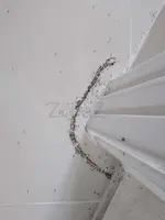 # Best & Perfect Pest Treatment – Killer Prices