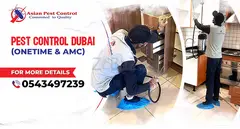 # Professional Pest Removal – Best Service & Prices!