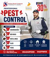 # Asian Pest Control – 100% Safe & Effectives