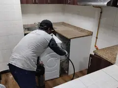 # Pest Control Dubai – Certified & Best Prices