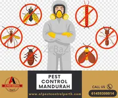 Trusted Pest Control In Mandurah With Best Services At A Fair Price - 1