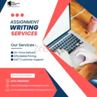 Best Assignment Writing Services - 1