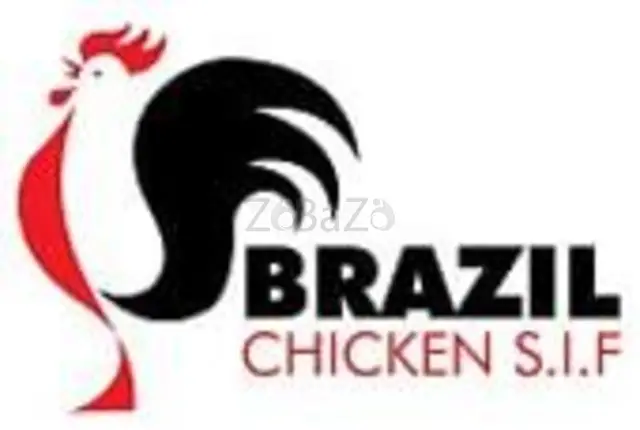 Buy Best Quality Frozen Chicken Online From Brazilian Chicken SIF - 1