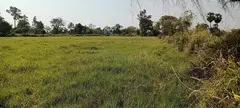 Beautiful land for sale - 1