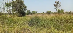 Beautiful land for sale - 3