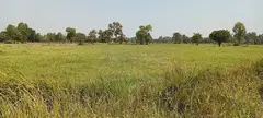 Beautiful land for sale - 4