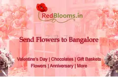 Send Fresh Flowers to Bangalore - Online Flower Delivery at RedBlooms.in