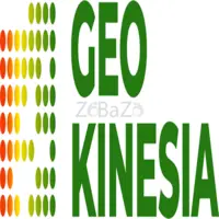 GeoKinesia Insar Technology for Natural Hazards and Risk - 1