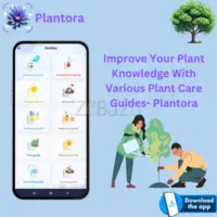 Improve Your Plant Knowledge With Various Plant Care Guides