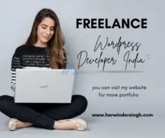 Freelance WordPress Developer India - 1