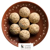 A delicious way to get Proteins in your diet with LIving Earth Organics Nutri-Melts Ladoos