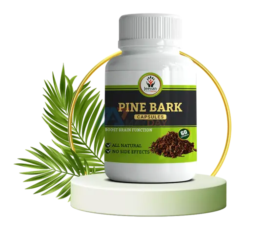 Pine Bark - 1