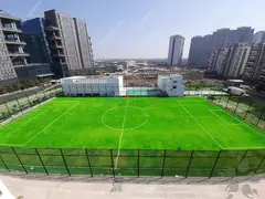Football Ground Construction