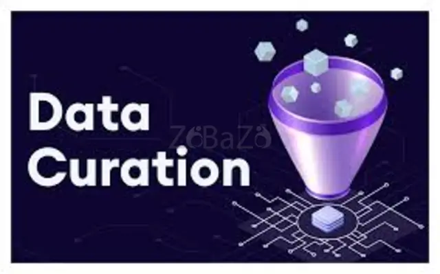 Data Curation - 1