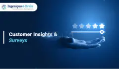 Customer Insights and Surveys