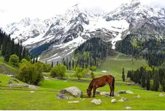 Exotic Kashmir Tour Package By EaseOtrip.com
