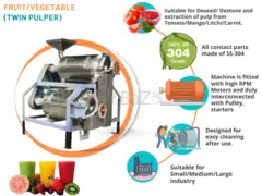 Fruits and Vegetable Pulp, Juice Extraction Machine Manufacturer