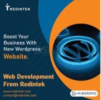 Redintek Private Limited - Website Development Company in Kollam - 1