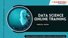 Best Data Science Online Training Institute In Hyderabad - NareshIT - 1