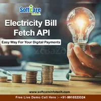 Top Electricity Bill Fetch API Service Provider - 1