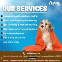 Dr. Ranveer Pet Clinic and Grooming Center - 1