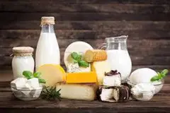 milk & dairy products marketing