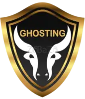 Ghosting Tech: Best Website Designing company in Patna - 1