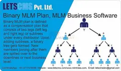 Binary MLM Income Plan  | Binary MLM Software for Network Marketing Business for cheapest Price USA