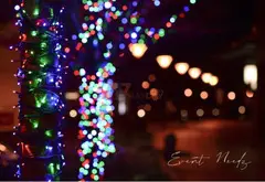 Decoration Lights | Event Needz - 1