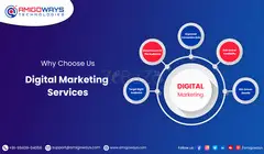 Best SEO Services Company in India - Amigoways