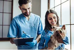 Veterinary Care at Home